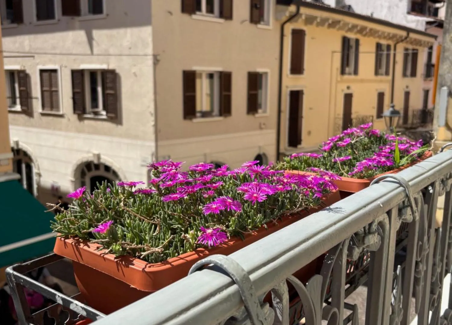 Residenza Betteloni Lägenhet Bardolino